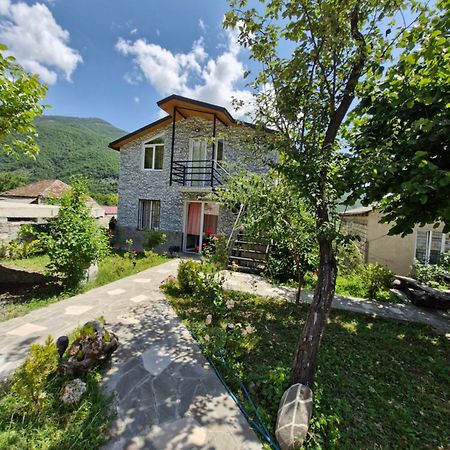 Ananuri Veranda- Hotel Guest House Екстер'єр фото